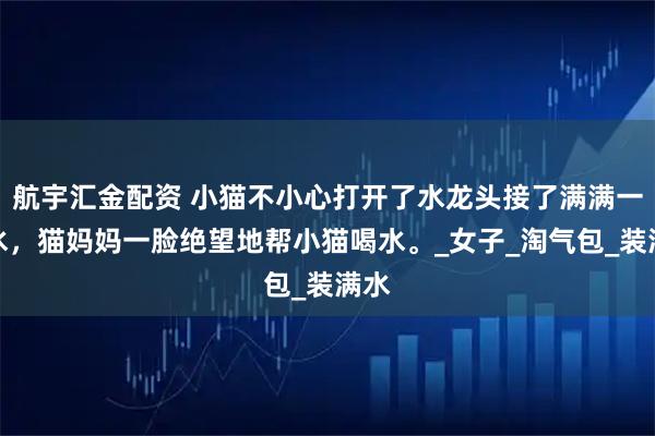 航宇汇金配资 小猫不小心打开了水龙头接了满满一桶水，猫妈妈一脸绝望地帮小猫喝水。_女子_淘气包_装满水