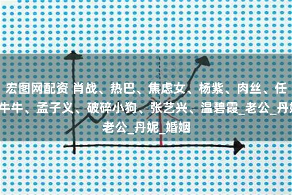宏图网配资 肖战、热巴、焦虑女、杨紫、肉丝、任嘉伦、牛牛、孟子义、破碎小狗、张艺兴、温碧霞_老公_丹妮_婚姻
