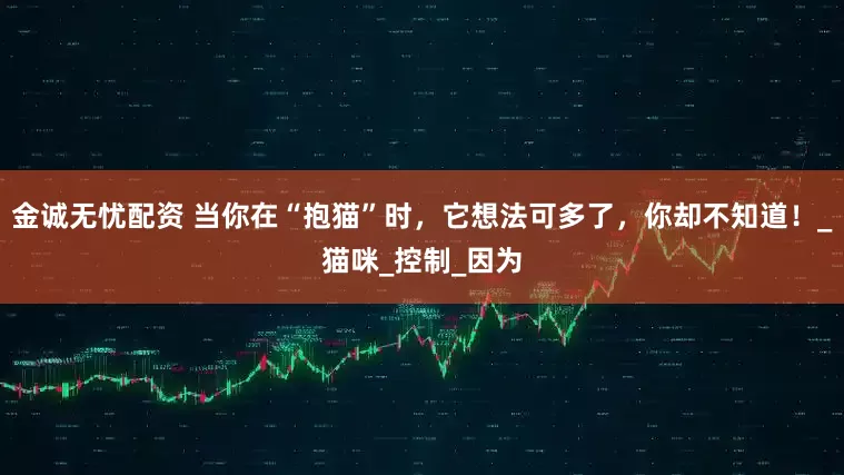 金诚无忧配资 当你在“抱猫”时，它想法可多了，你却不知道！_猫咪_控制_因为