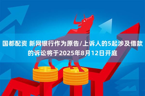 国都配资 新网银行作为原告/上诉人的5起涉及借款的诉讼将于2025年8月12日开庭