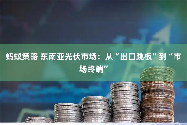 蚂蚁策略 东南亚光伏市场：从“出口跳板”到“市场终端”