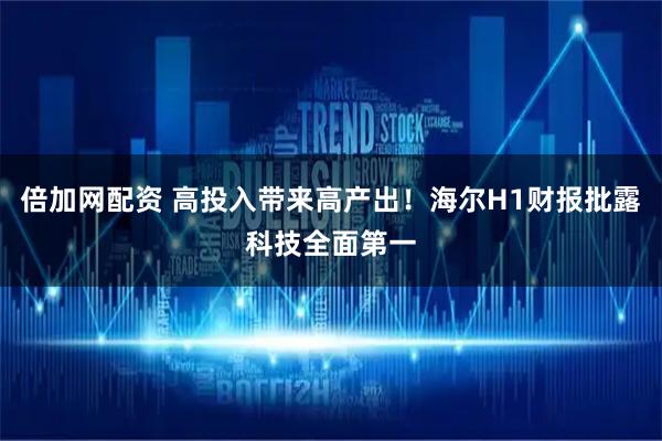 倍加网配资 高投入带来高产出！海尔H1财报批露科技全面第一