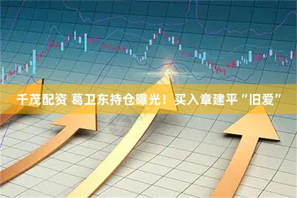 千茂配资 葛卫东持仓曝光！买入章建平“旧爱”