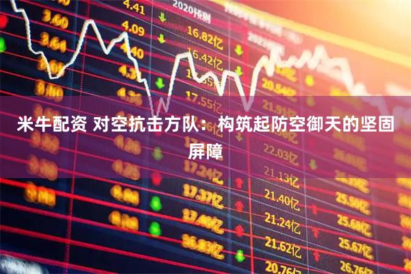 米牛配资 对空抗击方队：构筑起防空御天的坚固屏障