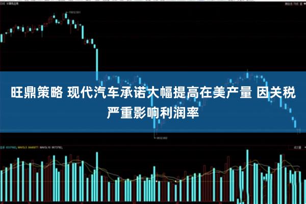旺鼎策略 现代汽车承诺大幅提高在美产量 因关税严重影响利润率