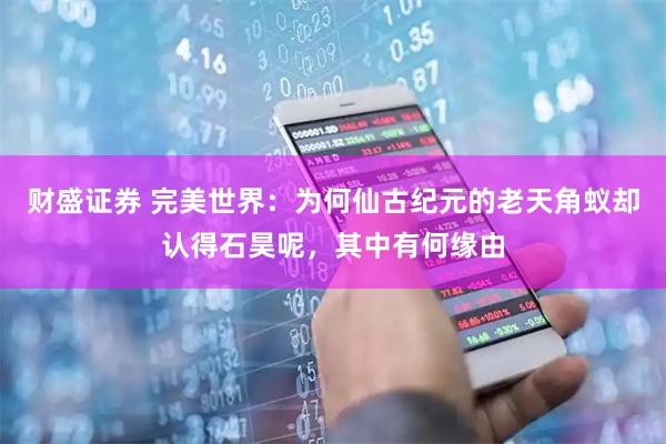 财盛证券 完美世界：为何仙古纪元的老天角蚁却认得石昊呢，其中有何缘由